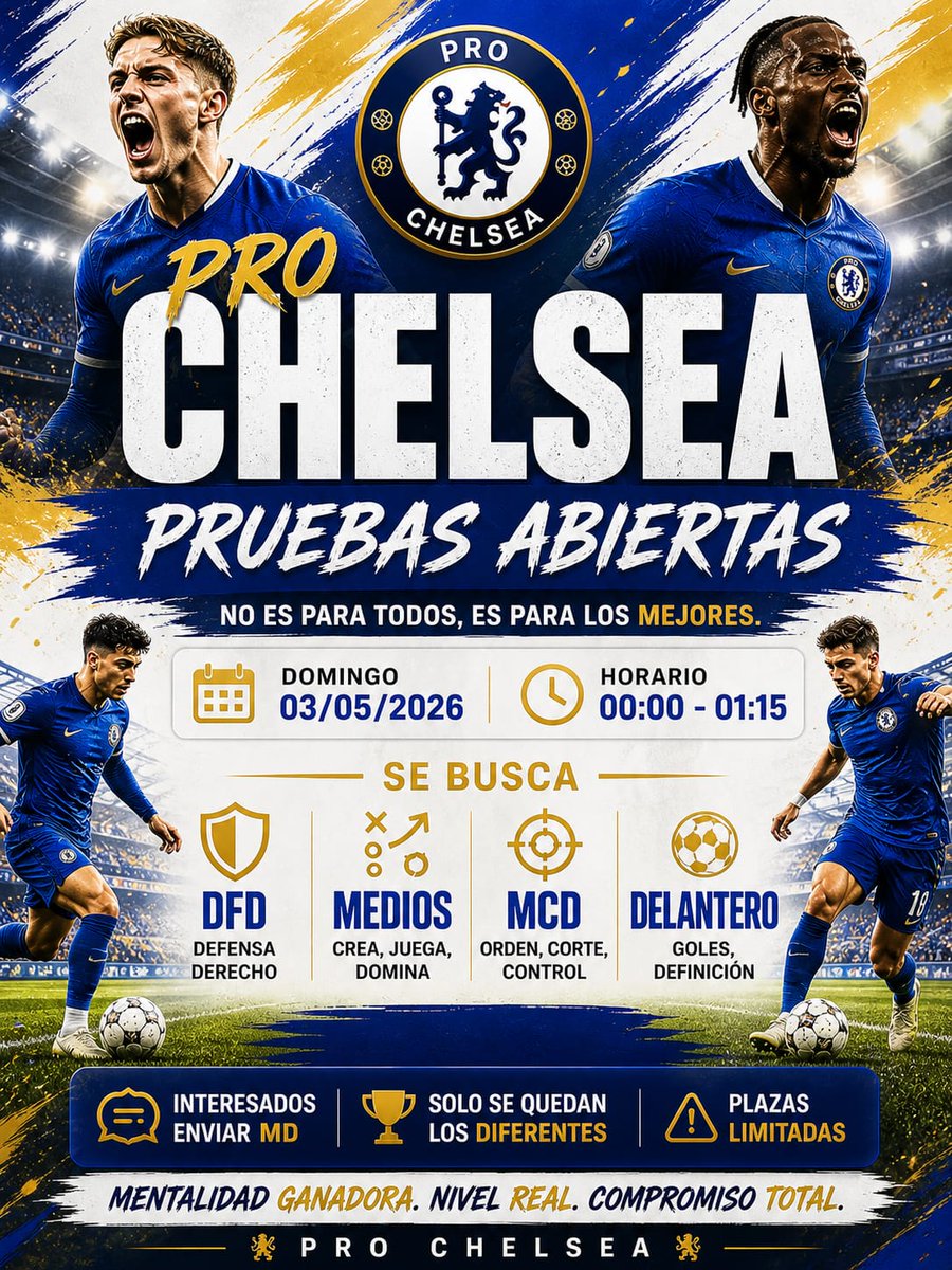 PRO CHELSEA 💙 tweet media