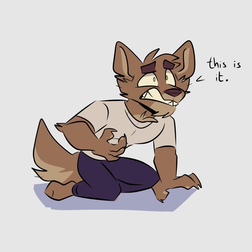 🦊Zorky🐺 Comms are open tweet media