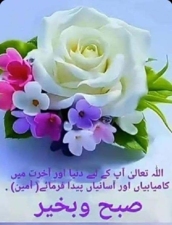 Live2day🌹Die2Morrow tweet media