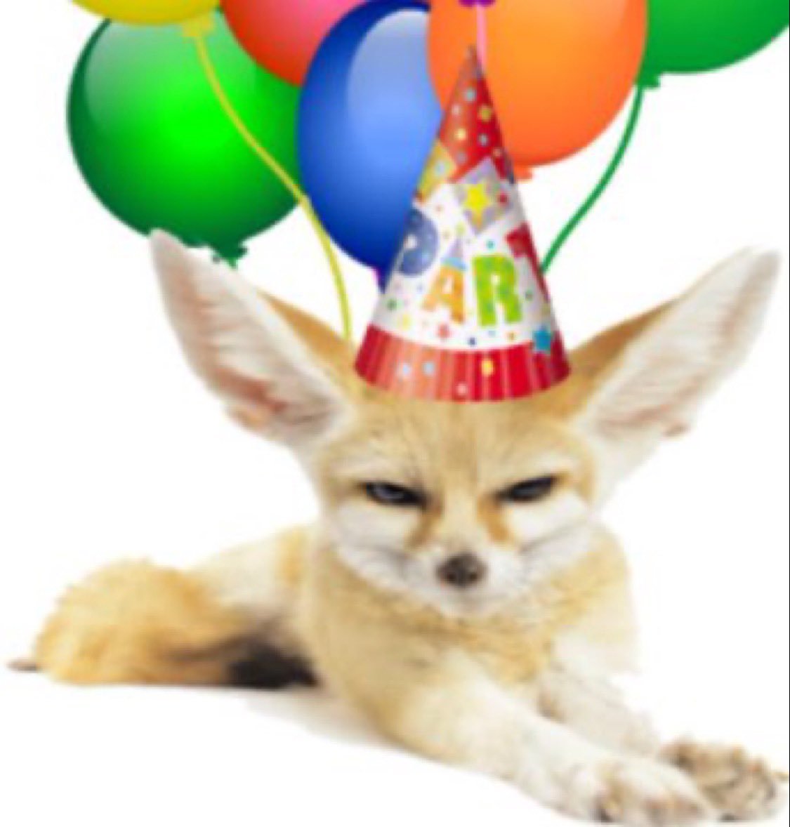 awootism's tweet photo. happy birthday my dearest fennec @Hurnax 🥳 https://t.co/muH5DDJtgt