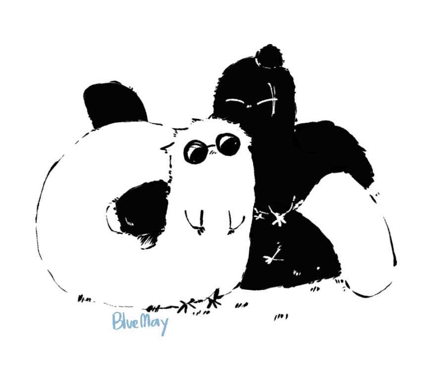 CA11 happy bluemay🩵 tweet media