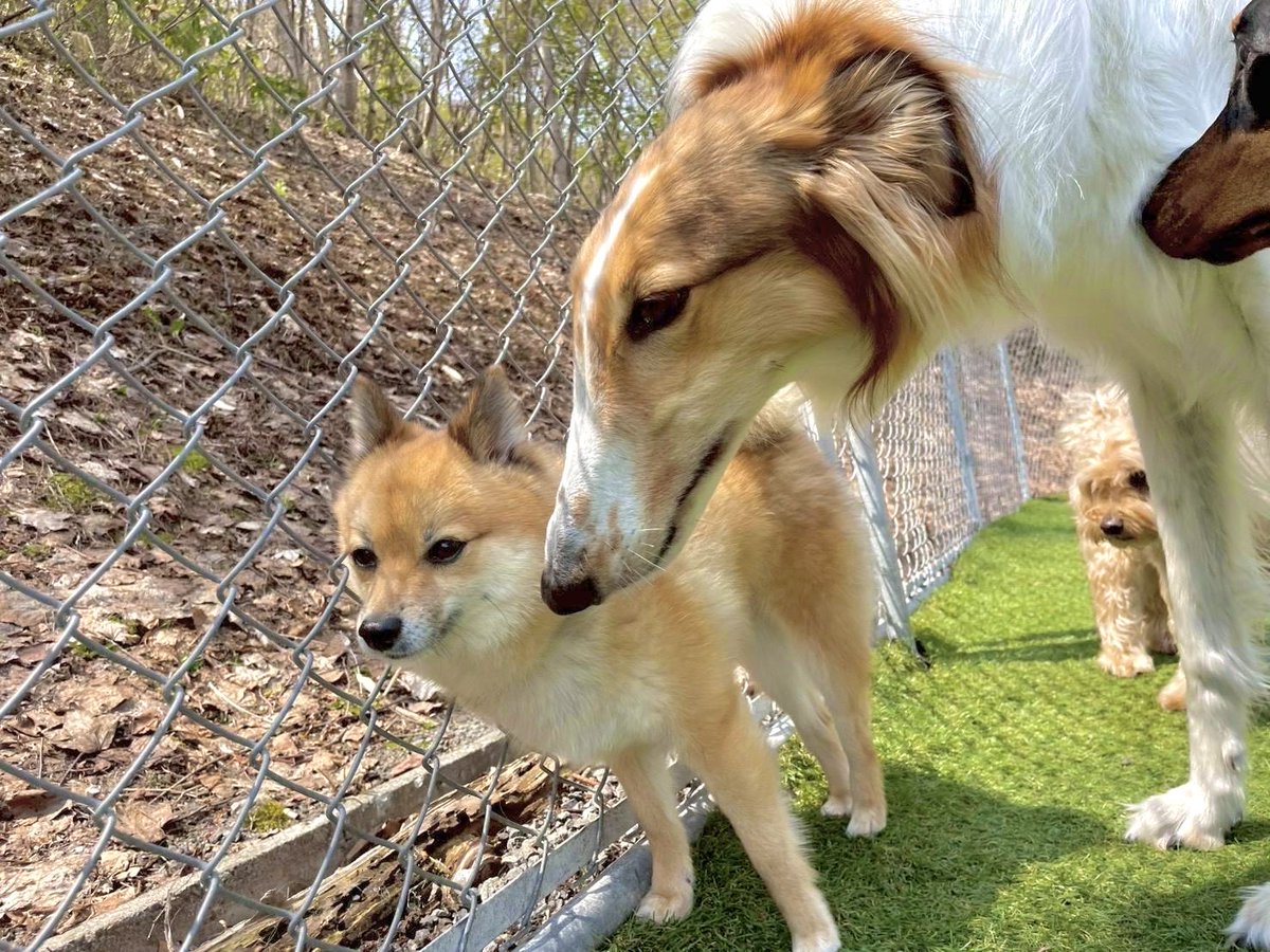今日も近いんだよな