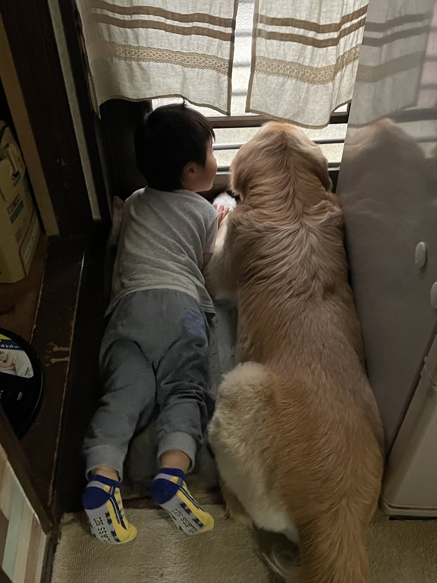 Ponponsherry's tweet photo. おはようございます
幸せな時間☺️ https://t.co/kqQ2oW1gU7