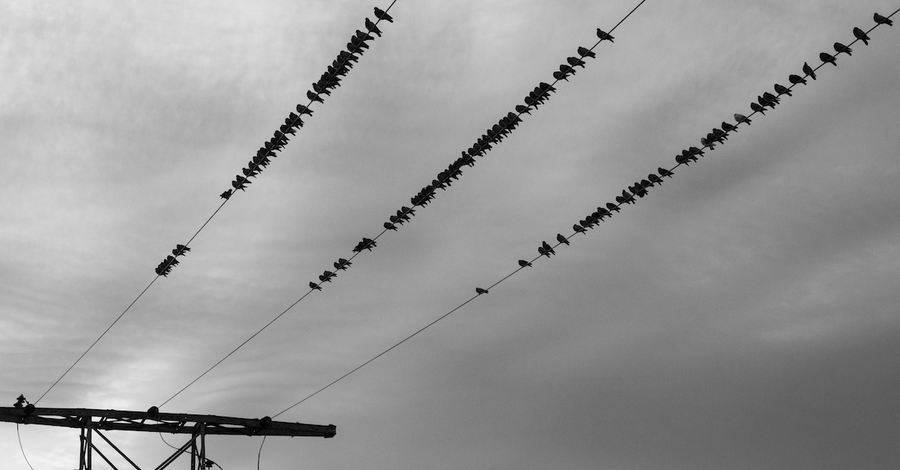 terrywhalin's tweet image. Creating Microtension in Your Story Through Repetition from author C. S. Lakin (@LiveWriteThrive) at: 
 ow.ly/rV2050YRqJn via @janefriedman #writinglife #pubtip