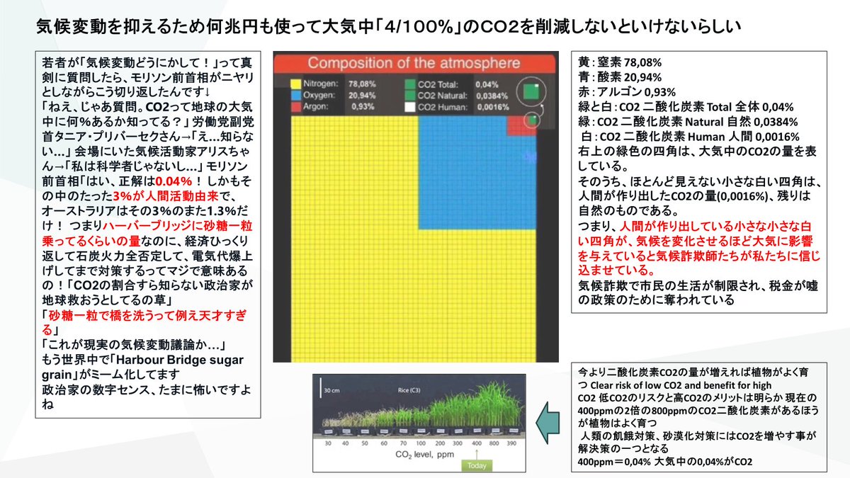 お気楽ダチョウ tweet media