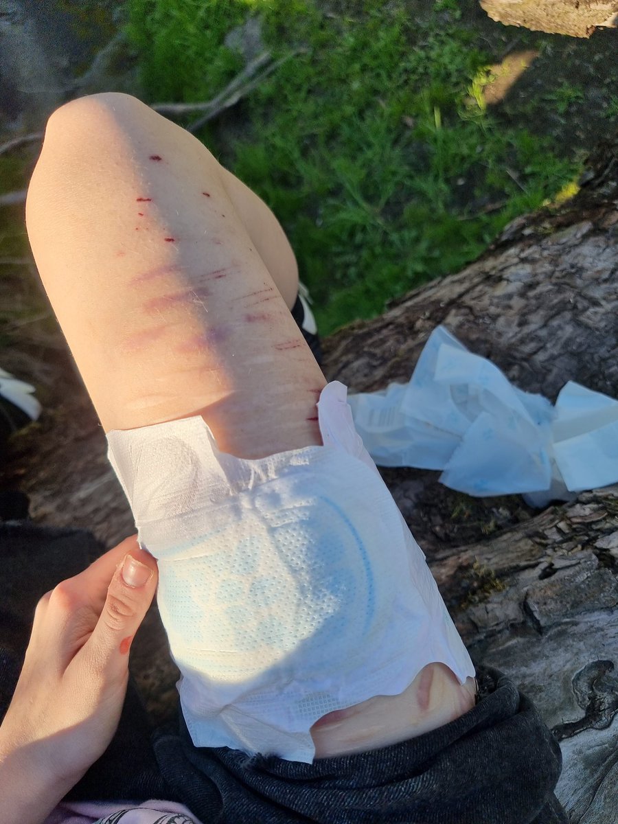 𝓷𝓪𝓸𝓶𝓲໒꒰ྀི´ ˘ ` ꒱ྀིა shedtwt tweet media