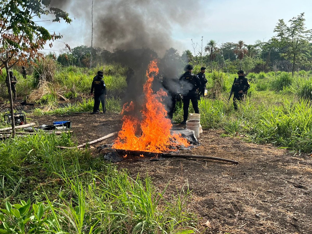 Ejercito_GT's tweet photo. Al servicio de la población guatemalteca. 🫡🇬🇹

El Ejército de Guatemala, en coordinación interinstitucional con las fuerzas de seguridad civil, localizó y erradicó plantaciones de marihuana en el municipio de Las Cruces, #Petén.

Durante la operación se incineraron un total de 110,068 matas de marihuana. Estas acciones forman parte de las estrategias implementadas por el Gobierno de Guatemala en la lucha frontal contra el crimen organizado transnacional, fortaleciendo la seguridad y el Estado de Derecho en el país.

#EjércitoGT
#AlPuebloDignoSeLeResponde