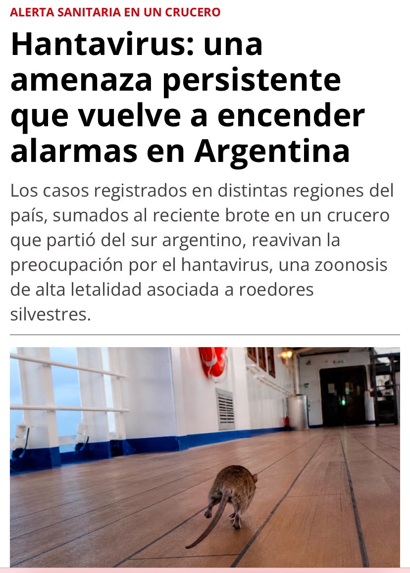 VET MARKET tweet media