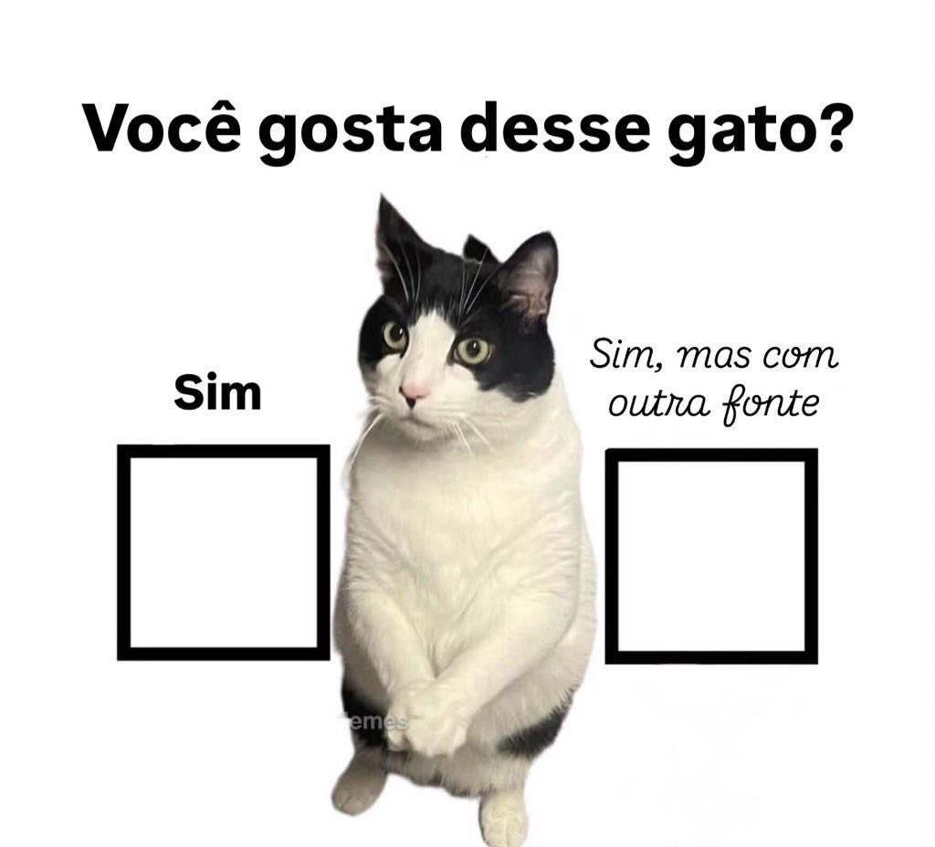 gatos fazendo gatices (@gatinarios) on Twitter photo 