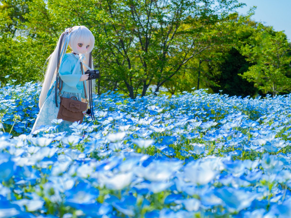 エルフィーネ🐈⸒⸒⸒ @修行中🧵🪡 tweet media