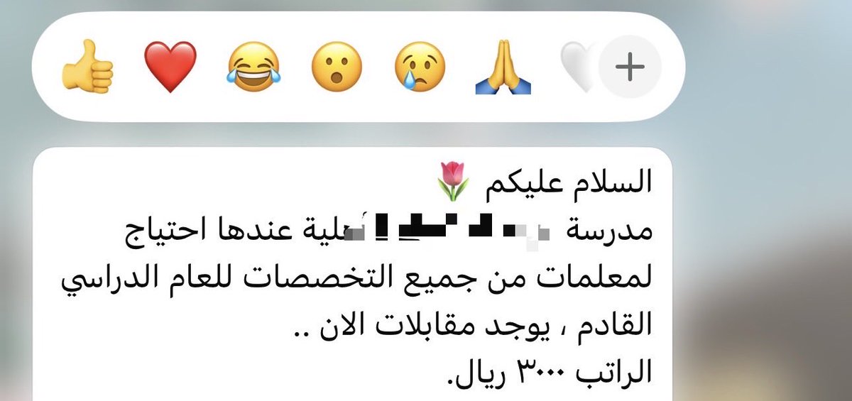 🔆 tweet media