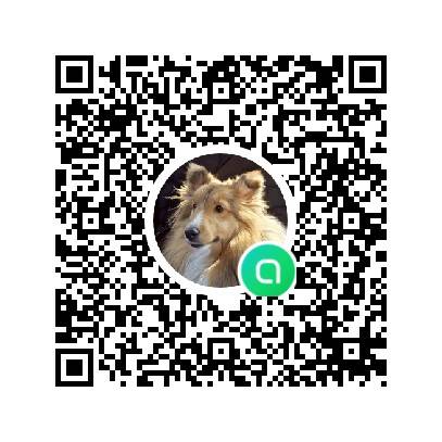 松島町迷子犬捜索 tweet media