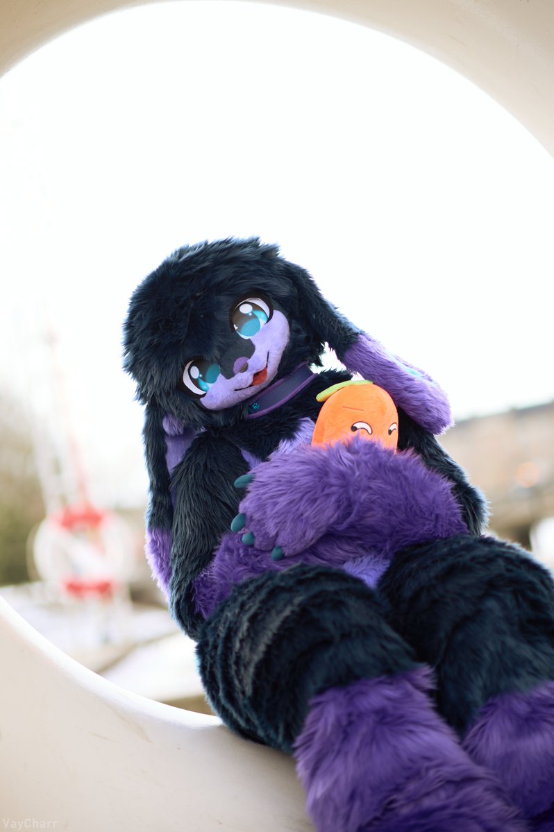 LunaryTheBun's tweet image. This Bunny has #Birthday today 

Yippieeeee :3 

Gimme some carrot cake pls &amp;gt;///&amp;lt;

#kemono #furryfandom #Fursuiter