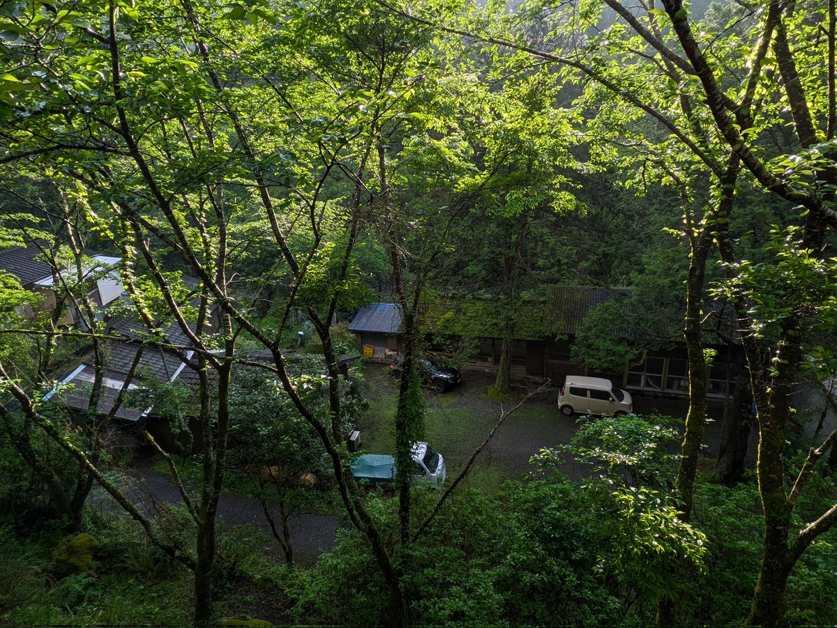 nomugi-松本産の旅人- tweet media