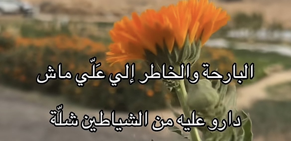 خالد المجلاد tweet media