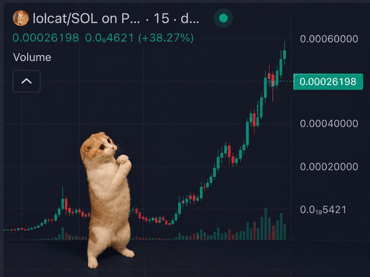 Moni ✨️ tweet media