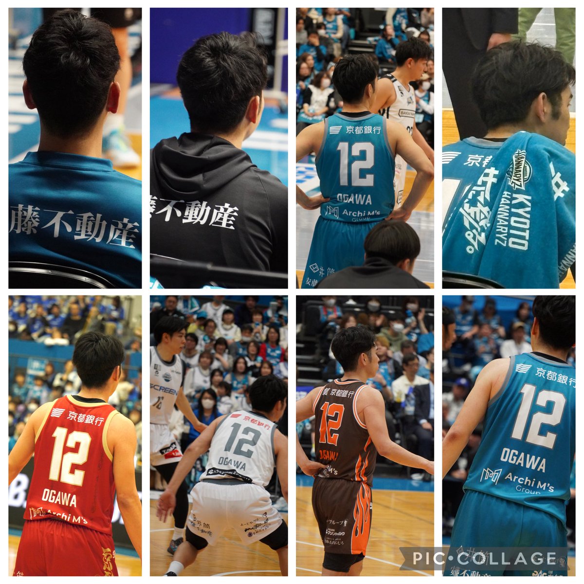 よっちぃ🏀 tweet media