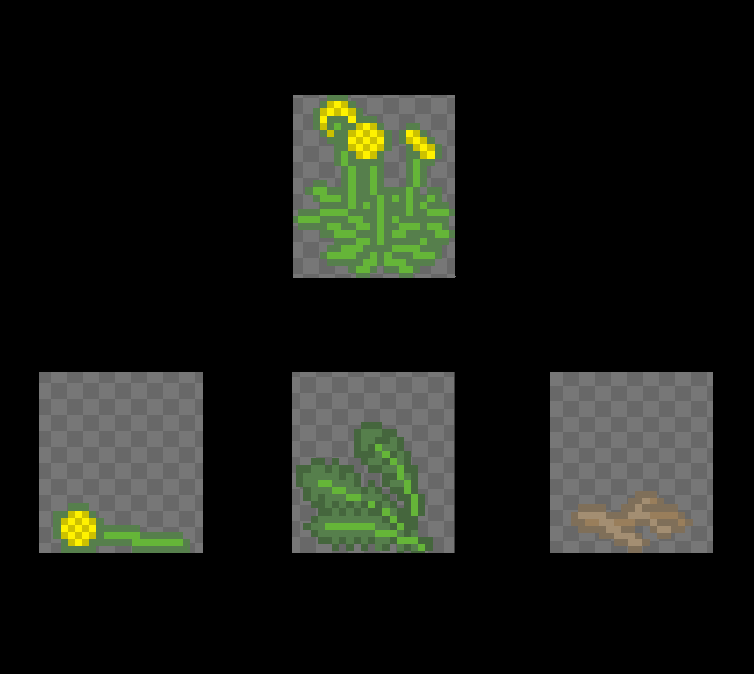 HyperrealityEnt's tweet photo. In #HeimatTheFirstSpring, a dandelion isn't just a flower—it’s a tactical choice. 🌼⚖️

Spent the afternoon mapping real-world biology into #GameMaker logic, and drawing sprites. 

Every part of the plant serves a specific purpose in our macronutrient system: 

🥬 Greens: A vital source of fiber. 
🥔 Roots: Bitter carbohydrates.

Not only do both taste better boiled, but boiling also eliminates the risk of parasites like🪱 Giant Kidney Worm larvae.

If you don't process your harvest, your biology will pay the price.🏺🔥

#IndieDev #Gamedev #HistoricalRealism #PixelArt #HardScience #BuildInPublic