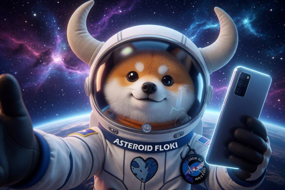 Asteroid Floki tweet media