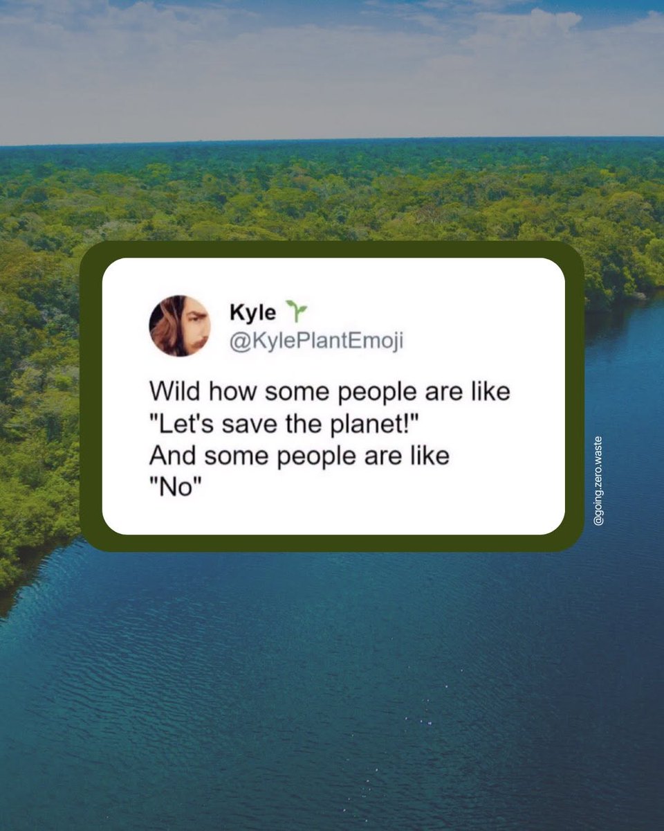 Kathryn Kellogg tweet media