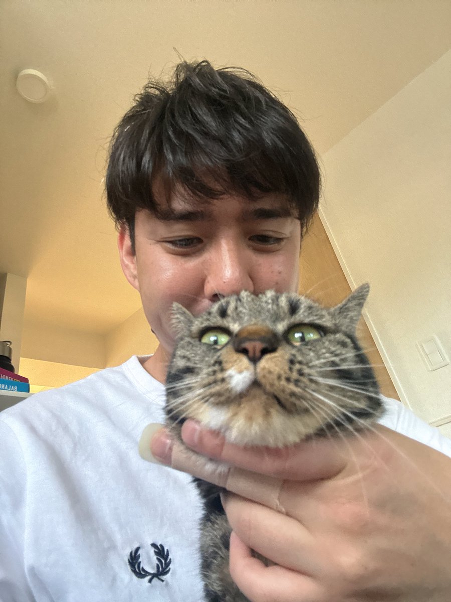 inoue71's tweet photo. おはようございます😊

ゴールデンウィークですねー
大好きなソファで戯れ🐈
これからかごんまへ
茶々とココほんの少しおるすばん宜しくね！

えんちょー楽しくやっておりまふ🤭

#宮崎
#鹿児島
#保育園
#園長
#ゴールデンウィーク https://t.co/IqVgUz0ujn