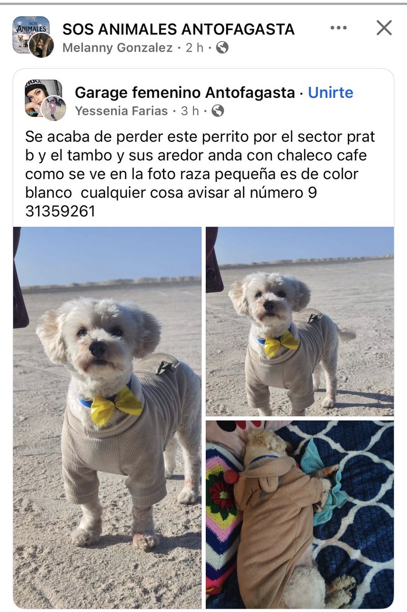 Jordi tweet media