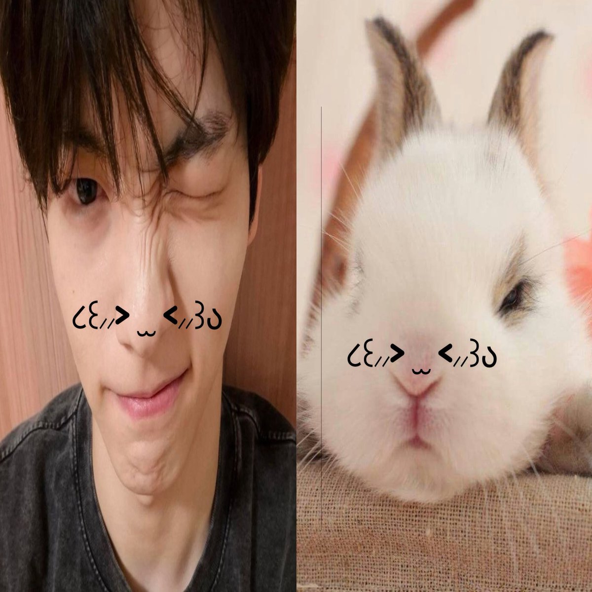 ash || ITS ME AND NO TRAGEDY tweet media