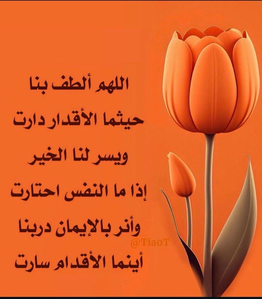 🥀 tweet media