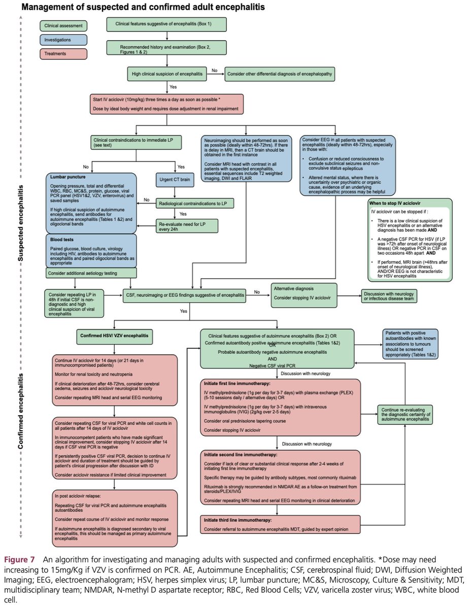 CarlosJMoreno_'s tweet photo. #Review @PracticalNeuro 
Suspected encephalitis in adults.

Pract Neurol 2026;0:1–18. https://t.co/JzZNdYbYPG