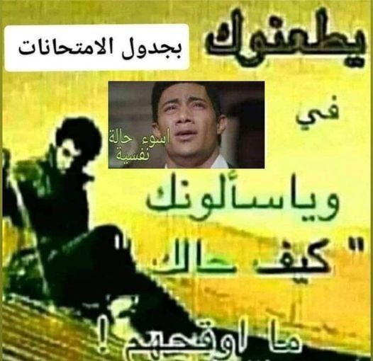 وسيم الصريطي♘𓂆 tweet media