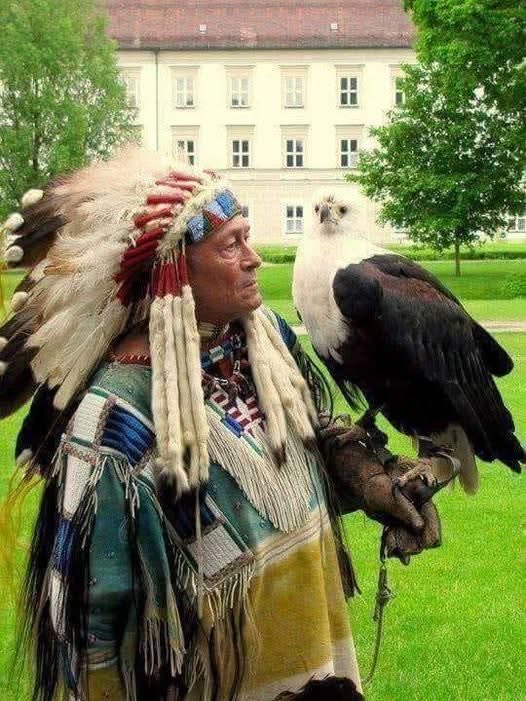 Native American tweet media