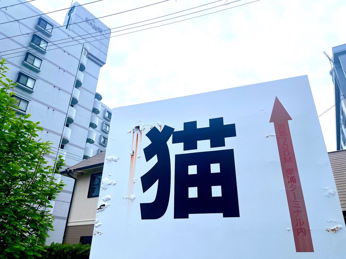 ミヤノクラ(リゾバ中) tweet media