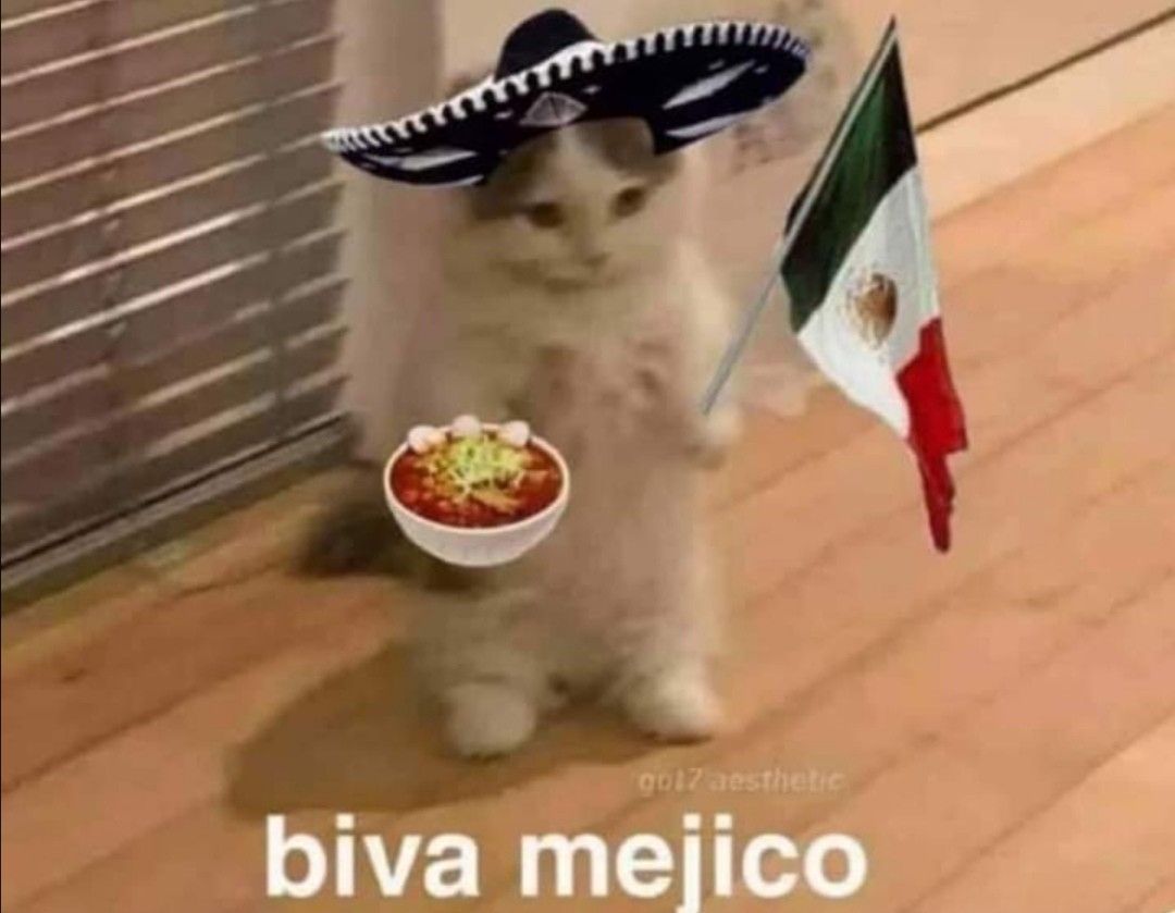 La esposa de Namjoon (🐟) tweet media