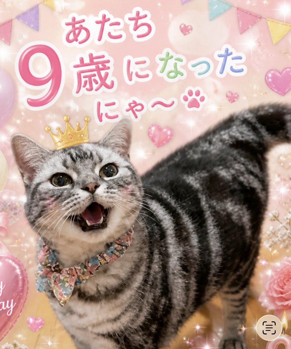 shizuku tweet media