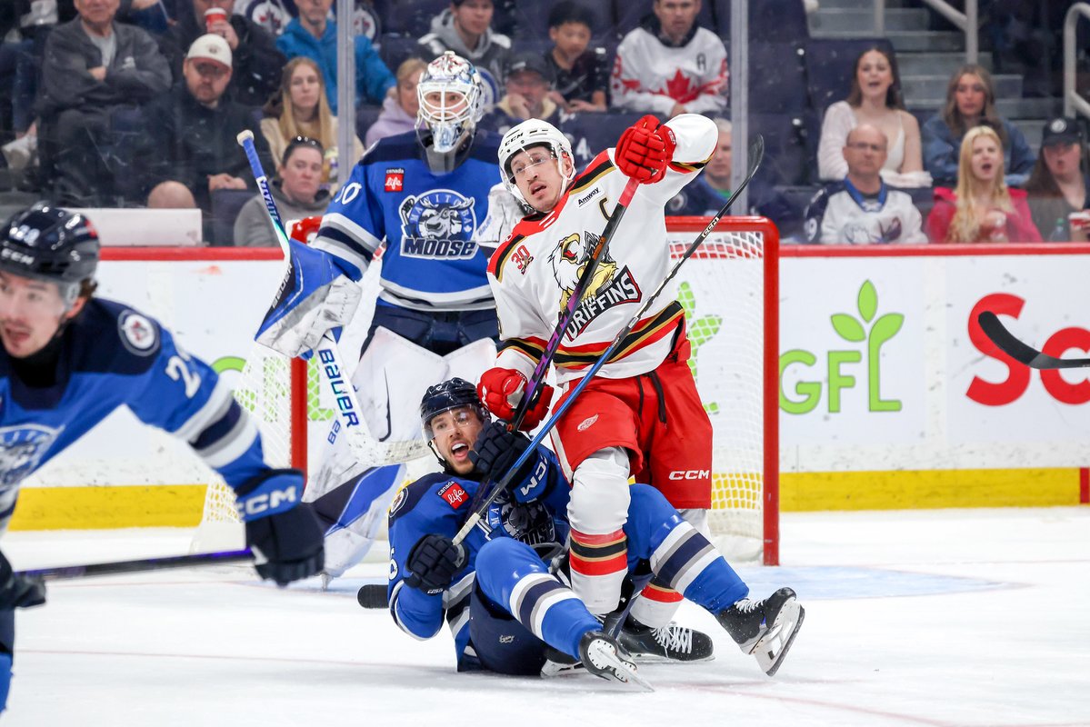 imaraindancer's tweet image. The @ManitobaMoose with another set of beautiful photos from game two of the Central Division Semifinals vs @griffinshockey 

#gogrg #lgrw #ahl #mbmoose #GRvsMB
