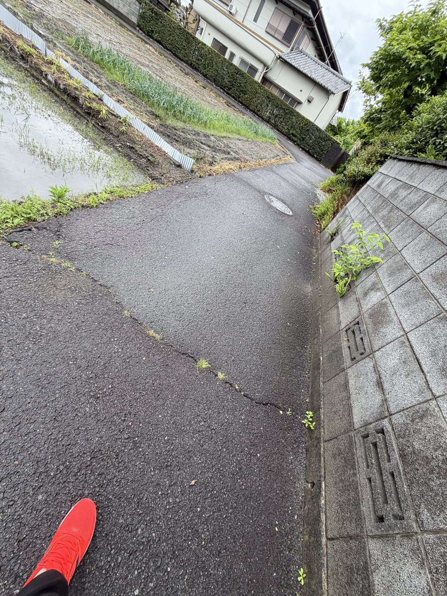 たきれんtakiren ทาคิเรน tweet media