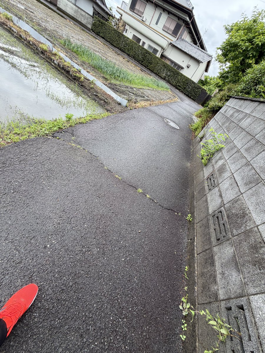 たきれんtakiren ทาคิเรน tweet media