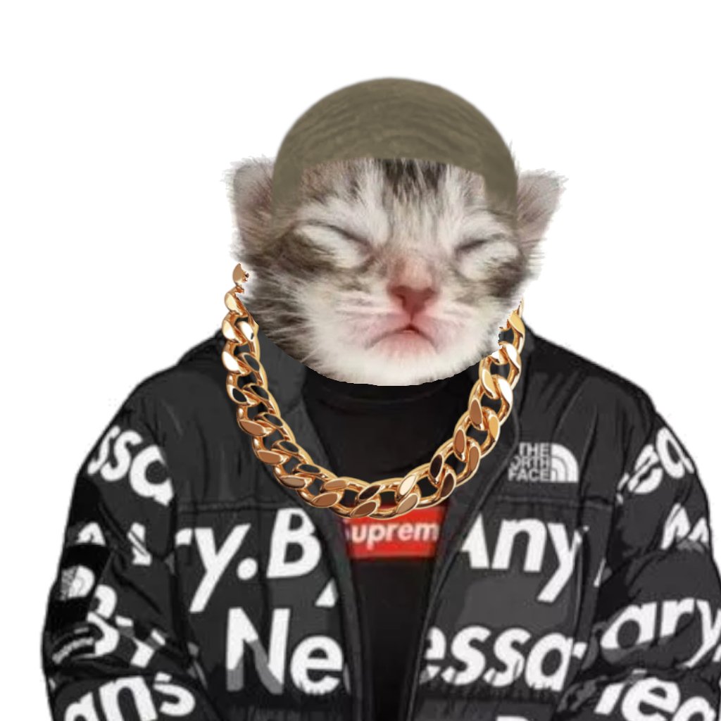 𝜗ৎ 𝐻𝑎𝑐𝘩𝑖 ⭑.ᐟ CEO del Huskerfizz tweet media