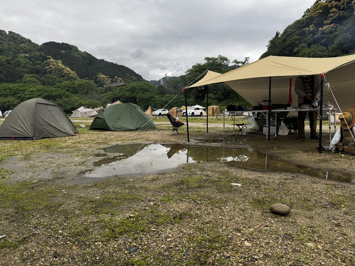 橋本 浩一 tweet media