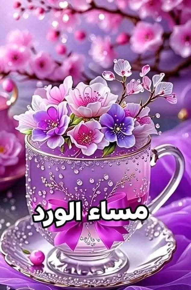 الزينى بركات tweet media