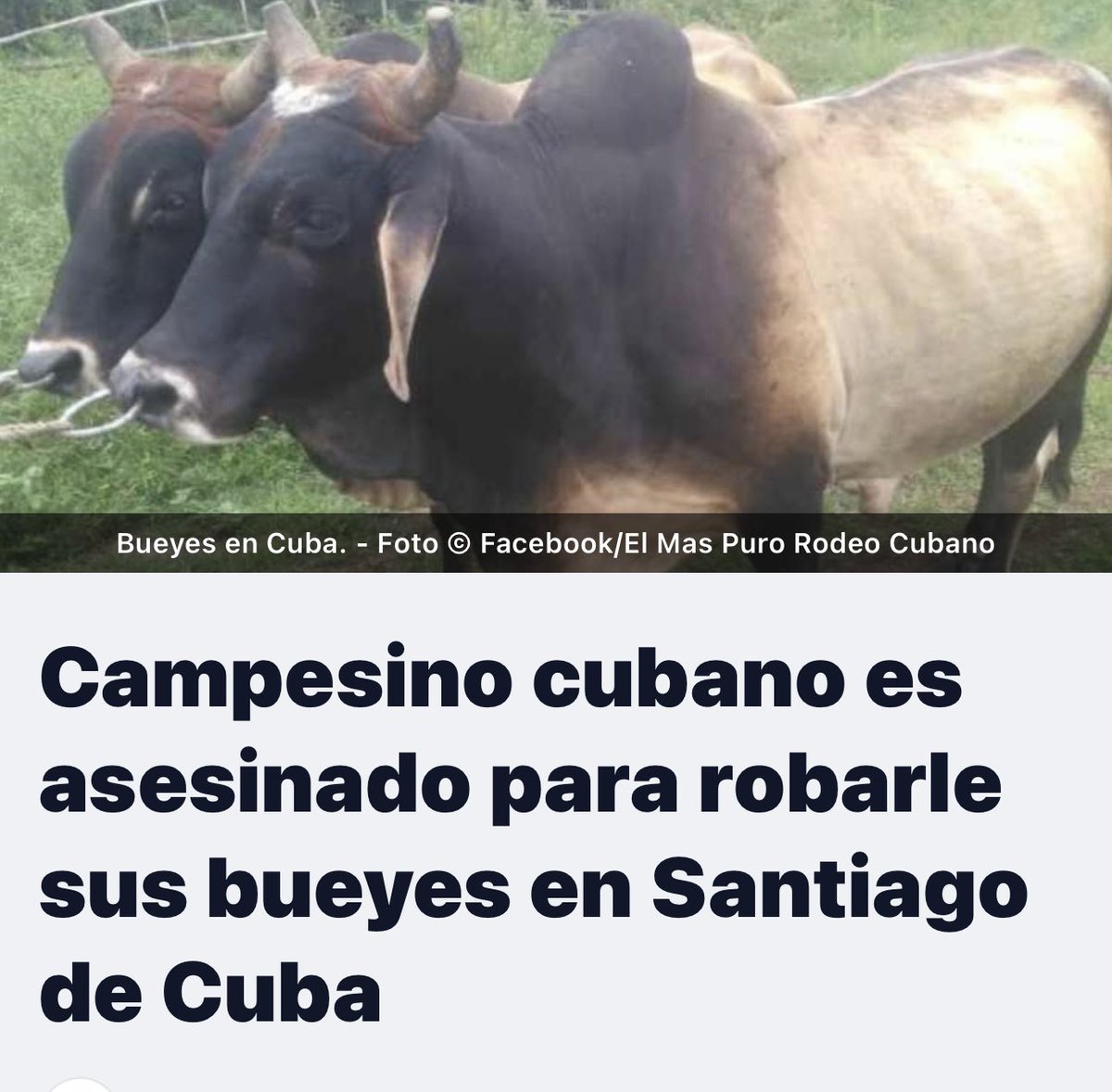 miguesevillano tweet media