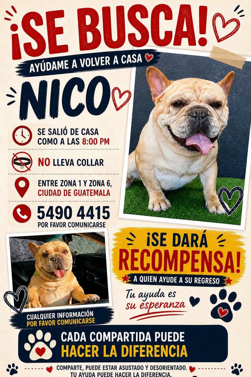 guatexanimales2's tweet image. #repost