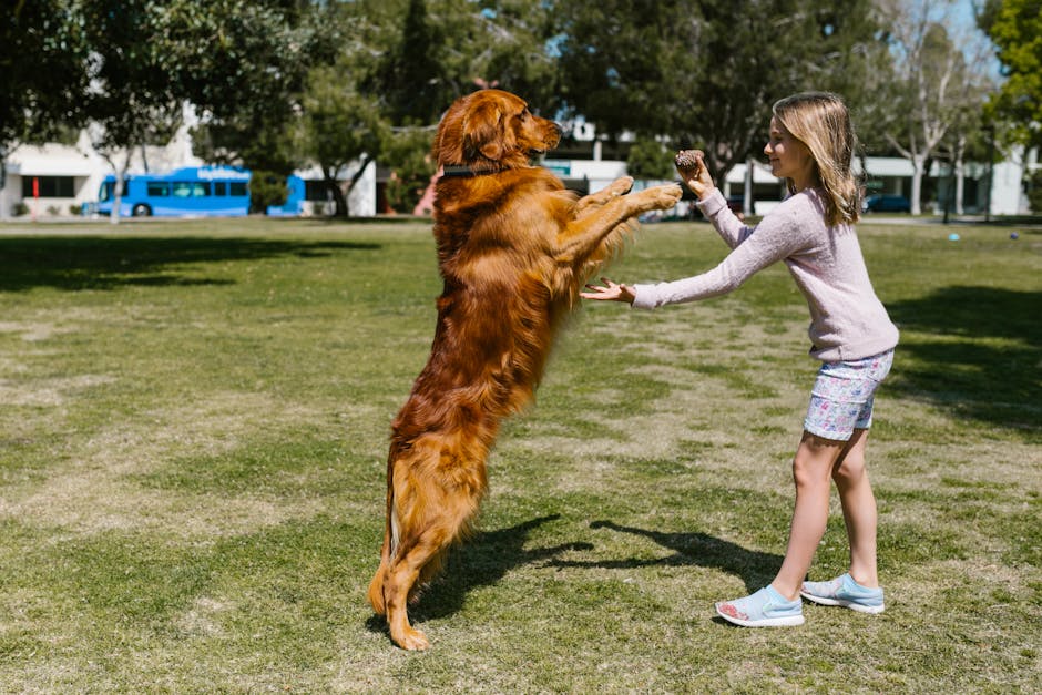 Amber Calhoun tweet media