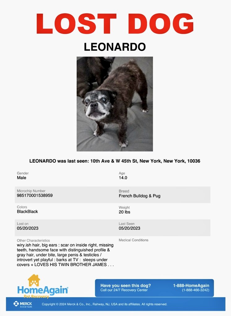 MeowMiya88's tweet image. 📢🇺🇸🗽🆘️🚨⏳️💔😿🐶Please RT to find Leonard #NYC #missingdog #lostdog #Manhattan #dogsoftwitter #DogsOfX @HAPetRescuer