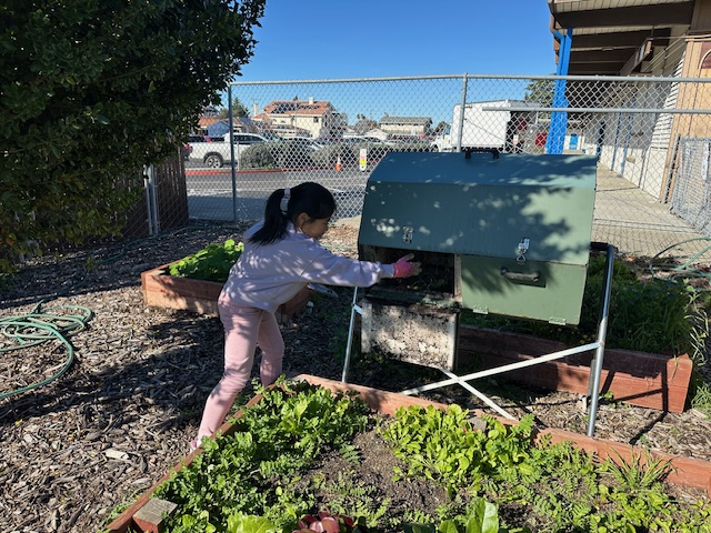 CAGreenRibbon's tweet photo. Meet our #CAGreenRibbon Gold Honoree: Steven Millard Elementary! 🌿 From student-led recycling &amp; waste sorting to native plant landscaping and thriving garden classrooms, SMES brings “Together We Grow” to life through sustainability and hands-on learning. 🌎 https://t.co/mIAdoK6uiu