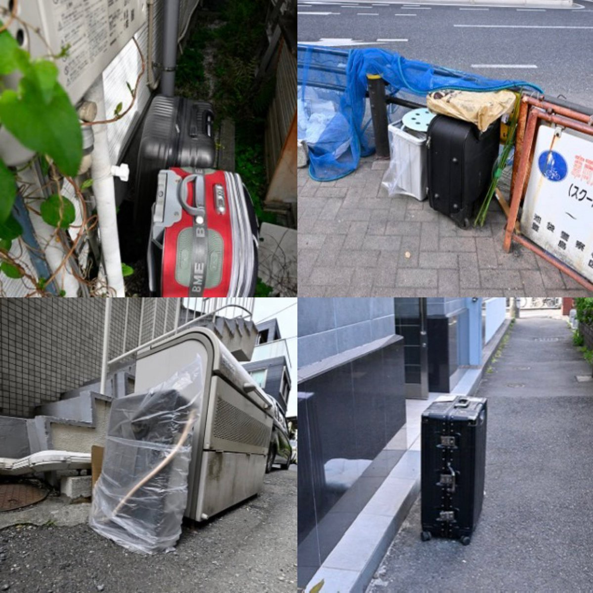 侍 tweet media