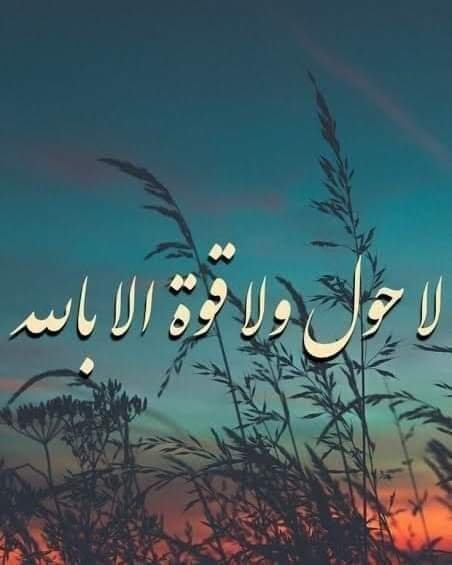🇦🇹sayed awad🇦🇹 tweet media