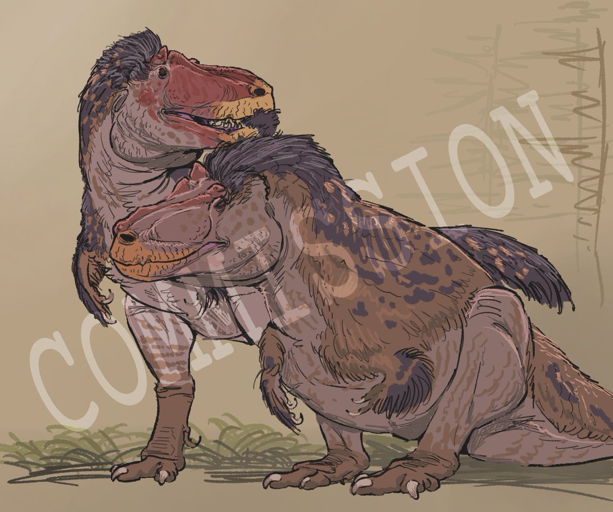 Lucas, o paleoartista tweet media