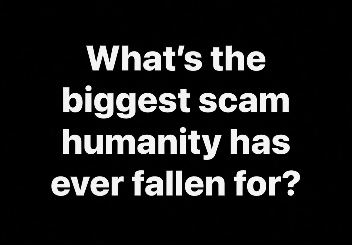Noah’s Ark 🚢 tweet media
