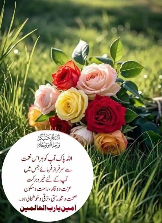 Riaz Hussain tweet media